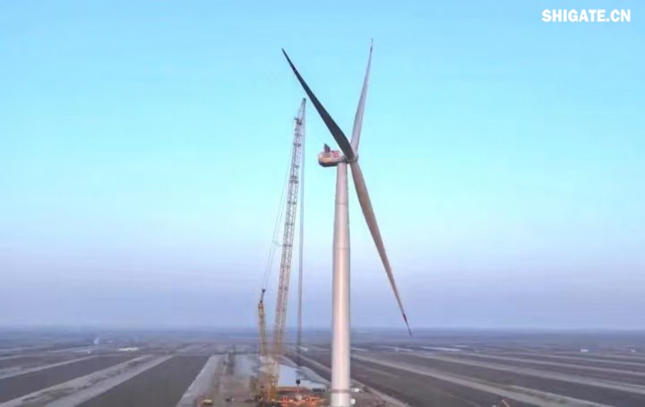 1月11日，全球最大功率等級(jí)的漂浮式風(fēng)電機(jī)組——中國(guó)中車“啟航號(hào)”在山東東營(yíng)風(fēng)電裝備測(cè)試認(rèn)證創(chuàng)新基地吊裝成功，標(biāo)志著我國(guó)在海上超大型風(fēng)機(jī)的探索邁出重要一步。該項(xiàng)目風(fēng)電機(jī)組的配套塔筒是全球直徑最大、重量最重的塔筒型號(hào)，所用鋼板由河鋼集團(tuán)舞鋼公司獨(dú)家提供。  微信圖片_20250220083217.jpg  舞鋼公司深入貫徹集團(tuán)要求，以客戶需求為導(dǎo)向，大力開(kāi)展技術(shù)營(yíng)銷，不斷優(yōu)化營(yíng)銷方案，通過(guò)提供“一攬子”解決方案，滿足高端客戶對(duì)高品質(zhì)產(chǎn)品和未來(lái)發(fā)展的需求，加速由生產(chǎn)型向“制造+服務(wù)”型企業(yè)轉(zhuǎn)變。該項(xiàng)目對(duì)產(chǎn)品抗沖擊性能及表面質(zhì)量有著極為嚴(yán)苛的要求，且交貨期較短，生產(chǎn)難度相當(dāng)大。為確保合同順利交付，舞鋼公司產(chǎn)線各單位協(xié)同聯(lián)動(dòng)，強(qiáng)化工藝和生產(chǎn)過(guò)程控制，攻克了高強(qiáng)度與高延伸率匹配、低溫沖擊韌性匹配等一系列技術(shù)難題，確保了產(chǎn)品各項(xiàng)指標(biāo)全部滿足客戶要求，并按期交付客戶。  微信圖片_20250220083224.jpg  “啟航號(hào)”20MW漂浮式海上風(fēng)電塔筒是專門為20MW及以上海上漂浮式風(fēng)機(jī)提供系統(tǒng)解決方案而設(shè)計(jì)的，是全球最大功率漂浮式風(fēng)電機(jī)組的配套塔筒，總高度為141.15米，最大直徑12米，重量達(dá)到了1576噸。